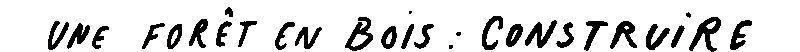 Une forêt en bois : construire